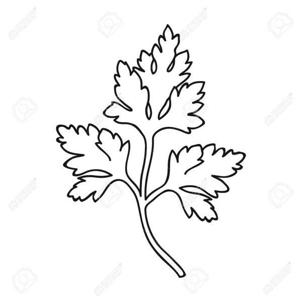 Листья пряных трав