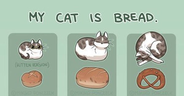 Котик с батоном рисунок