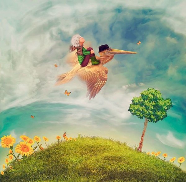 Полет мечты