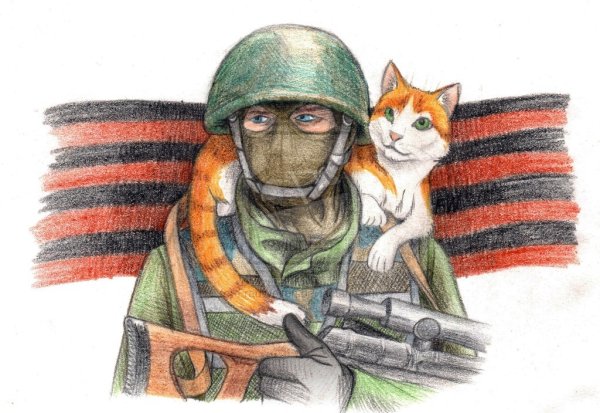 Кот солдат