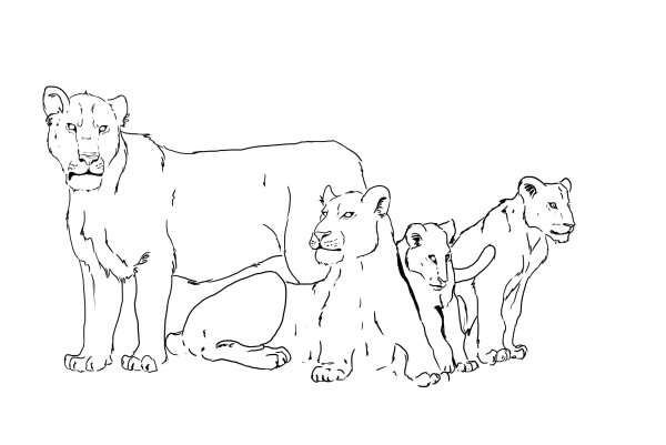 Разукрашка Прайд Львов