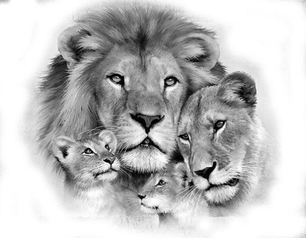 Тату семья Львов