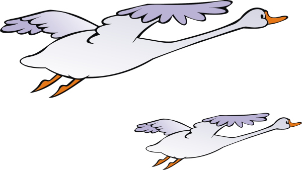 Гуси лебеди на белом фоне