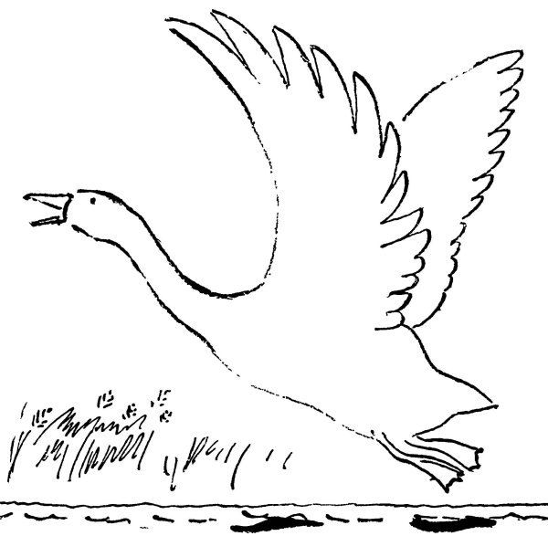 Летающий лебедь рисунок