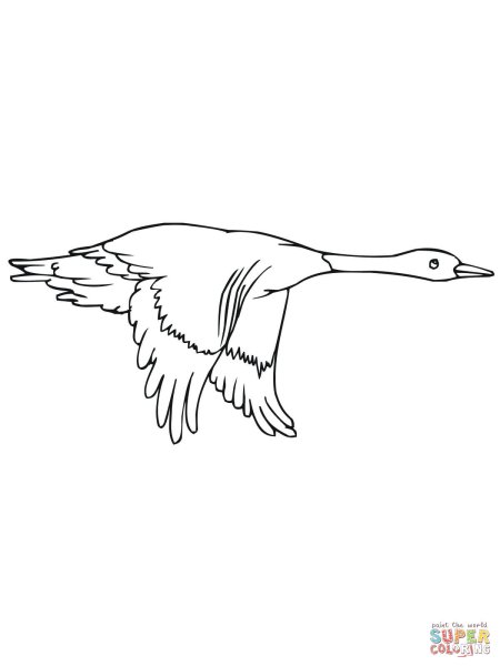 Гусь в полете рисунок