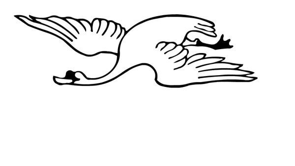 Трафарет летящего лебедя