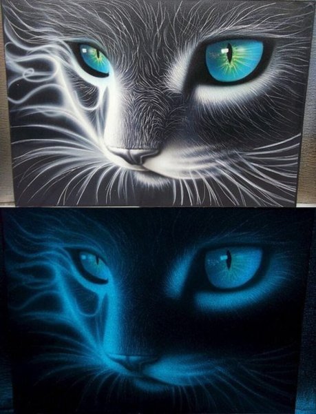 Роспись стен светящимися красками