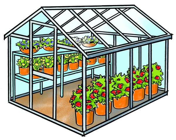 Теплица рисованная