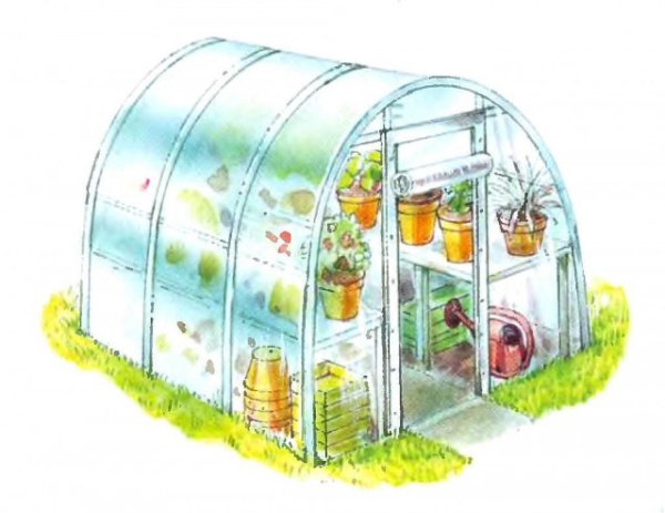 Теплица для детей