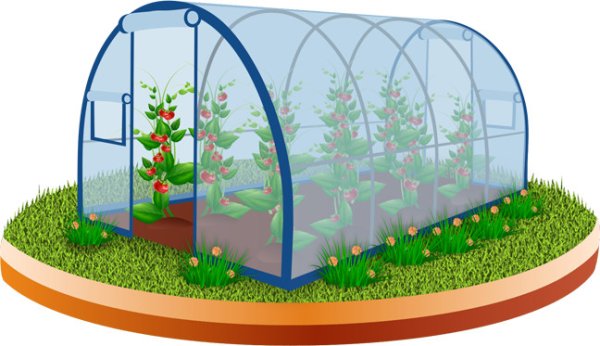 Теплица для детей