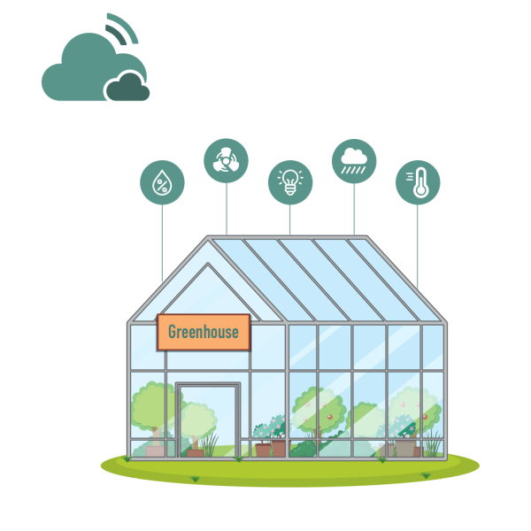 Теплица инфографика