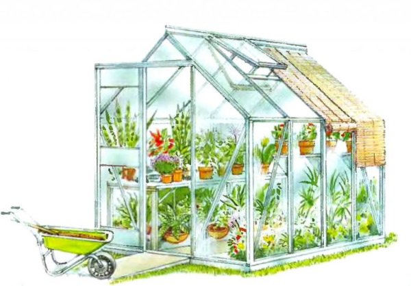 Теплица для детей