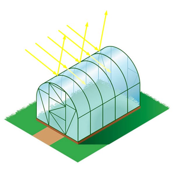 Вегетарий теплица по скандинавской технологии