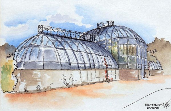 Теплица иллюстрация