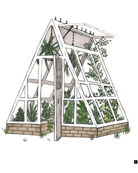 Теплица рисованная