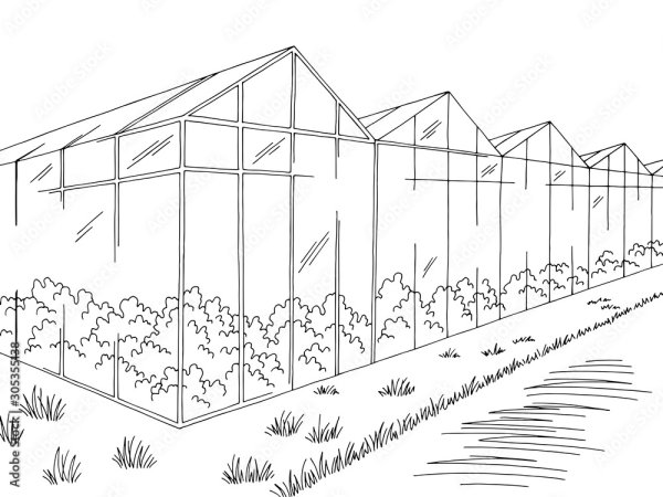 Теплица раскраска