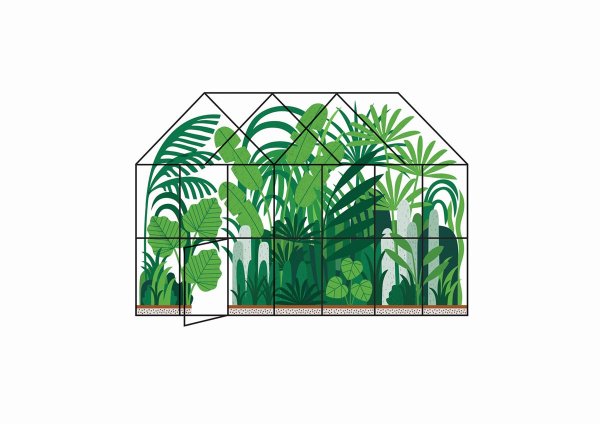 Оранжерея иллюстрация