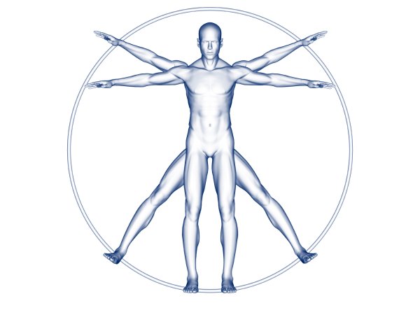 Витрувианский человек