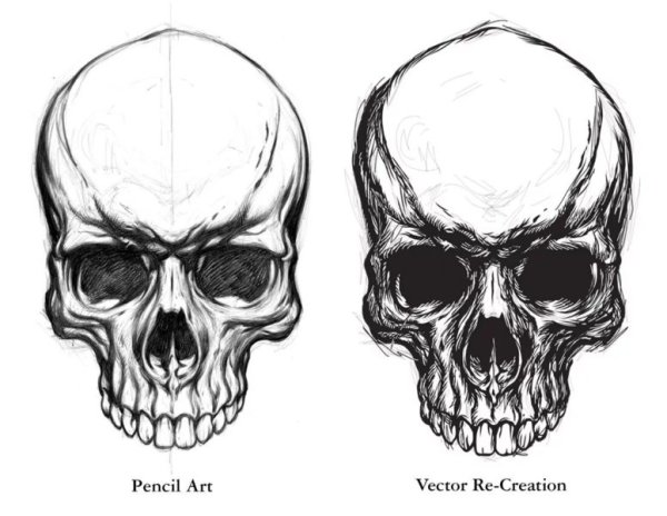 Череп спереди вектор