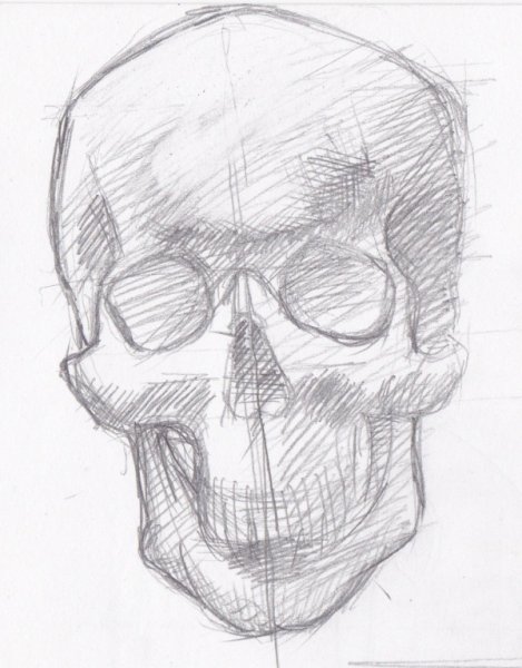 Череп Академический рисунок анфас