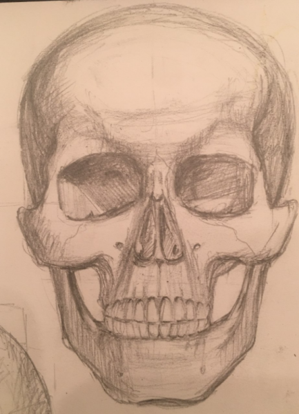 Череп анфас эскиз