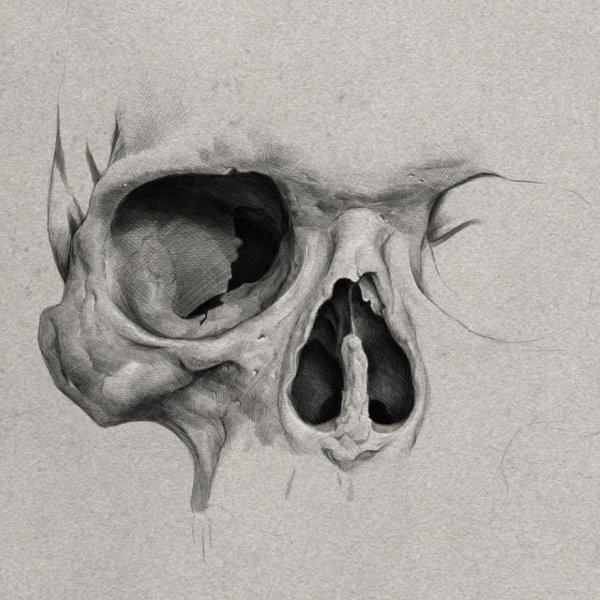 Череп в графике