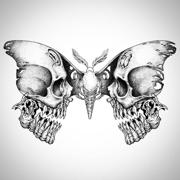 Череп эскиз