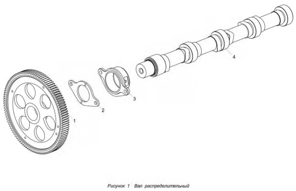 Вал распределительный ЯМЗ 5344