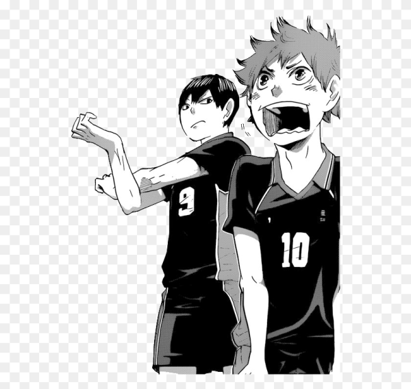 Хината шоё волейбол Манга