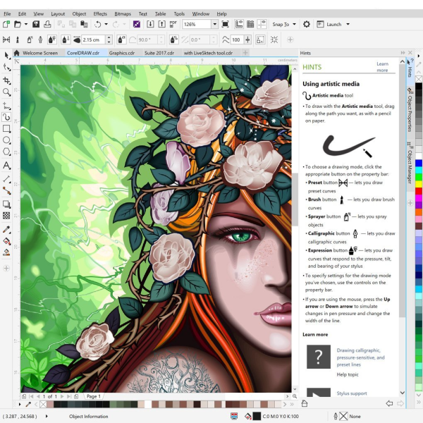 Coreldraw Graphics Suite 2020