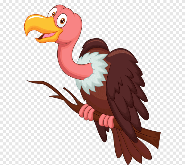 Гриф птица мультяшный