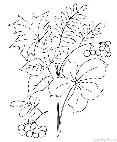 Осенний букет раскраска