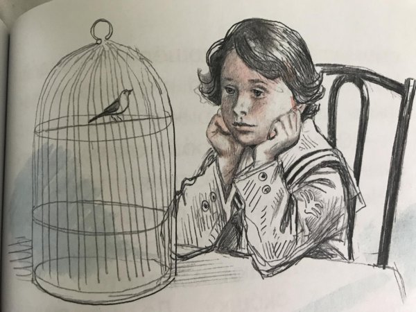 Ивины толстой иллюстрации