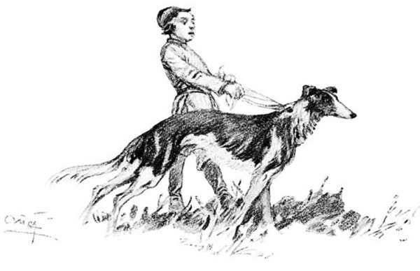 Ивины толстой иллюстрации