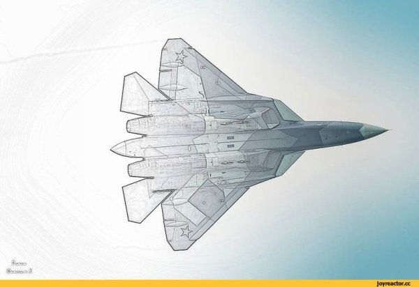 Су 57 сверху снизу