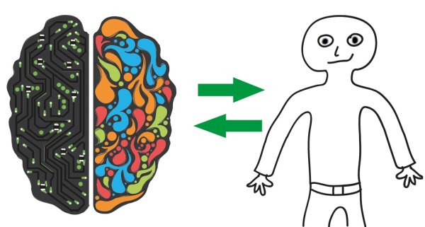 Мозг и тело