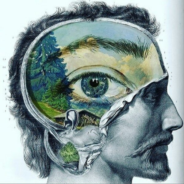 Эстетическое сознание