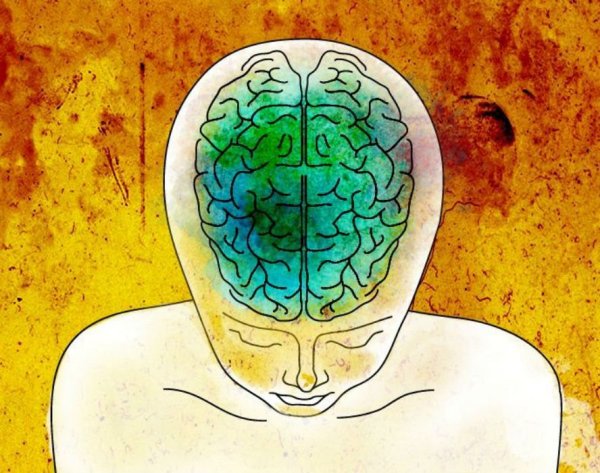 Медитация мозг