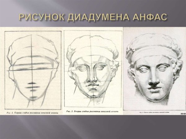 Портрет Академический Давид сприресовкой