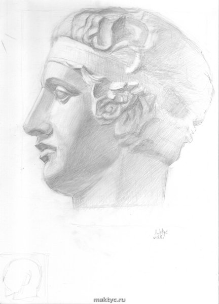 Голова Диадумена Академический рисунок