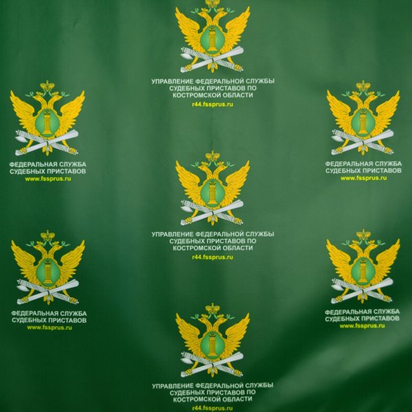 Приставы мультяшные