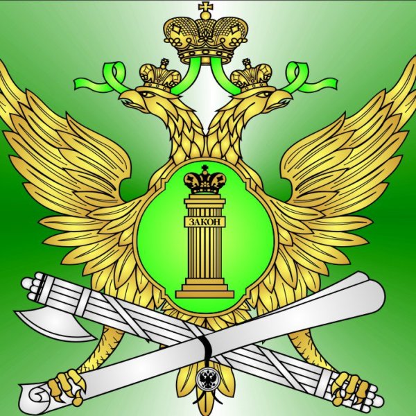 Управление Федеральной службы судебных приставов лого