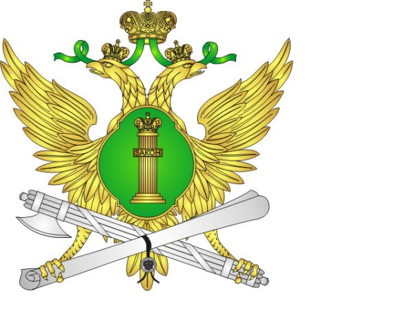 Принудительное исполнение