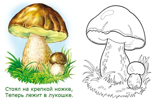 Белый гриб Боровик раскраска