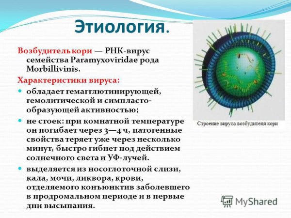 Вирус кори характеристика возбудителя