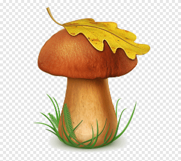 Гриб Боровик для детей