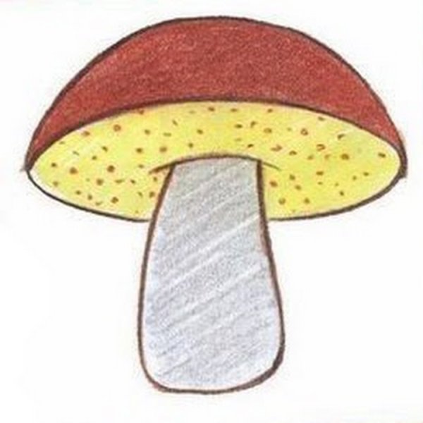 Грибы цветными карандашами для детей