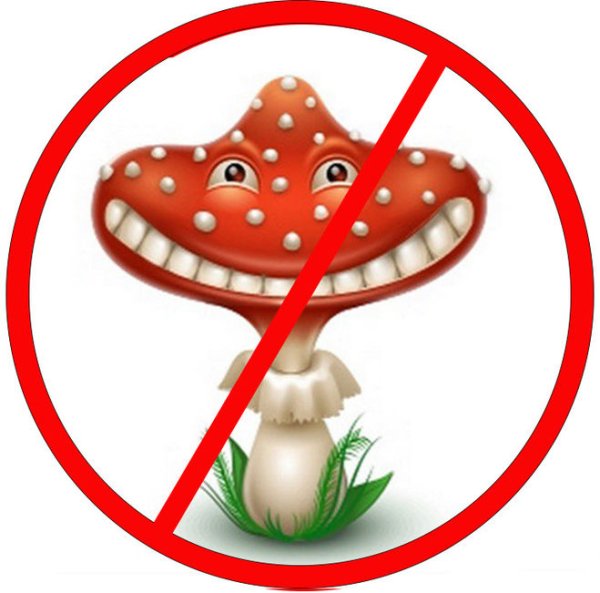 Отравление ядовитыми грибами мухоморами
