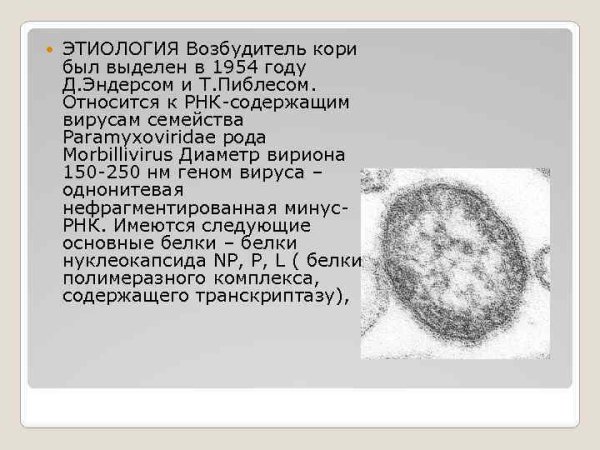 Корь возбудитель заболевания