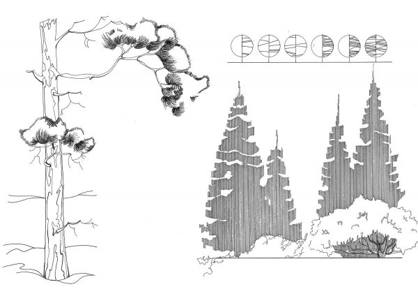 Антураж стаффаж горы